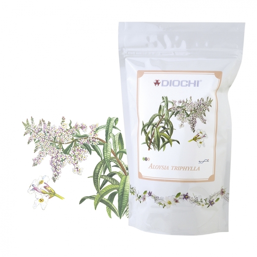 Aloysia triphylla