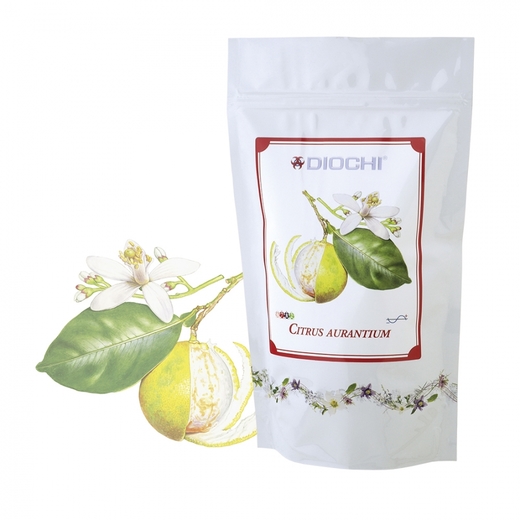 Citrus aurantium
