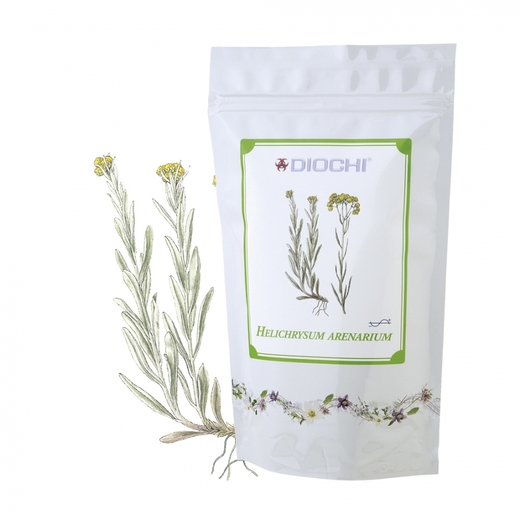 Helichrysum arenarium