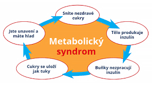 Metabolický syndrom