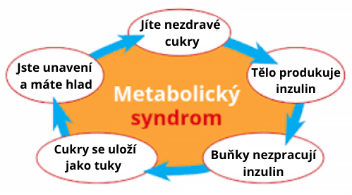 Metabolický syndrom
