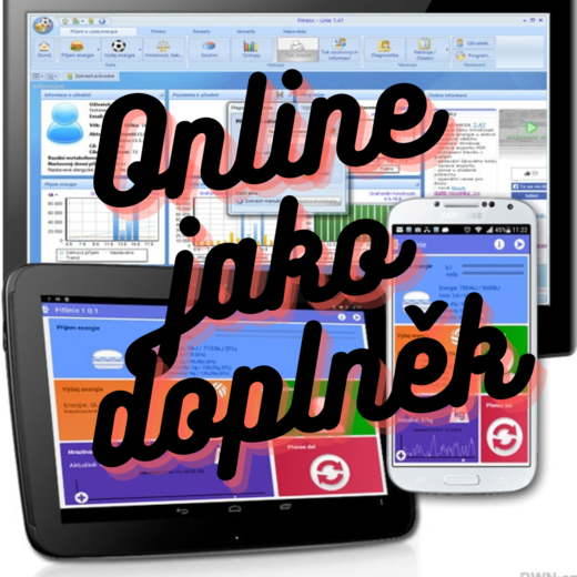Verze online jako doplněk