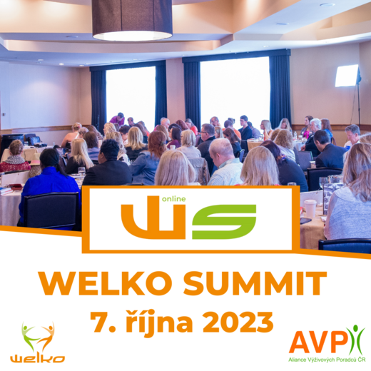 Welko Summit online